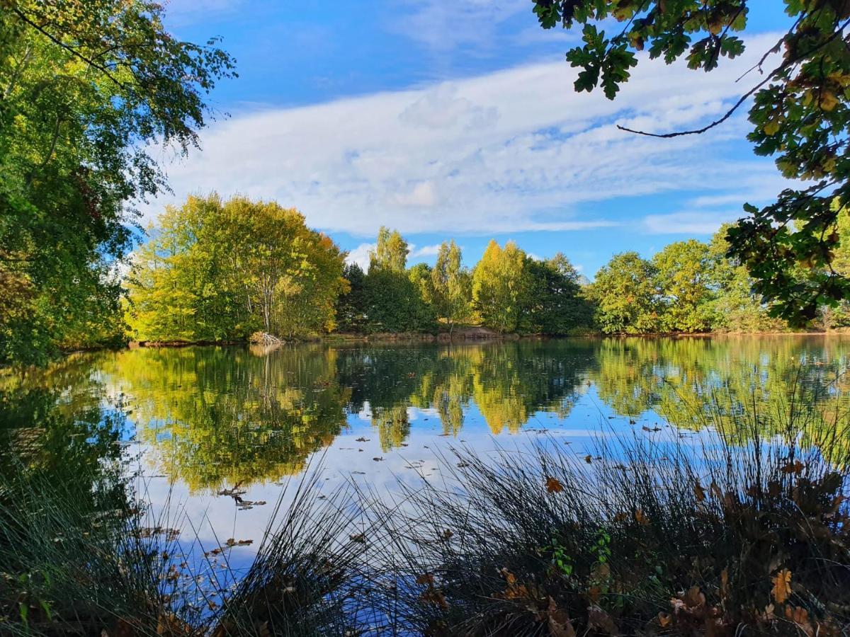 Ferienwohnung Am See Dillich - Eigener Garten - Ruhige Lage - Natur Vor Der Haustuer Borken  外观 照片