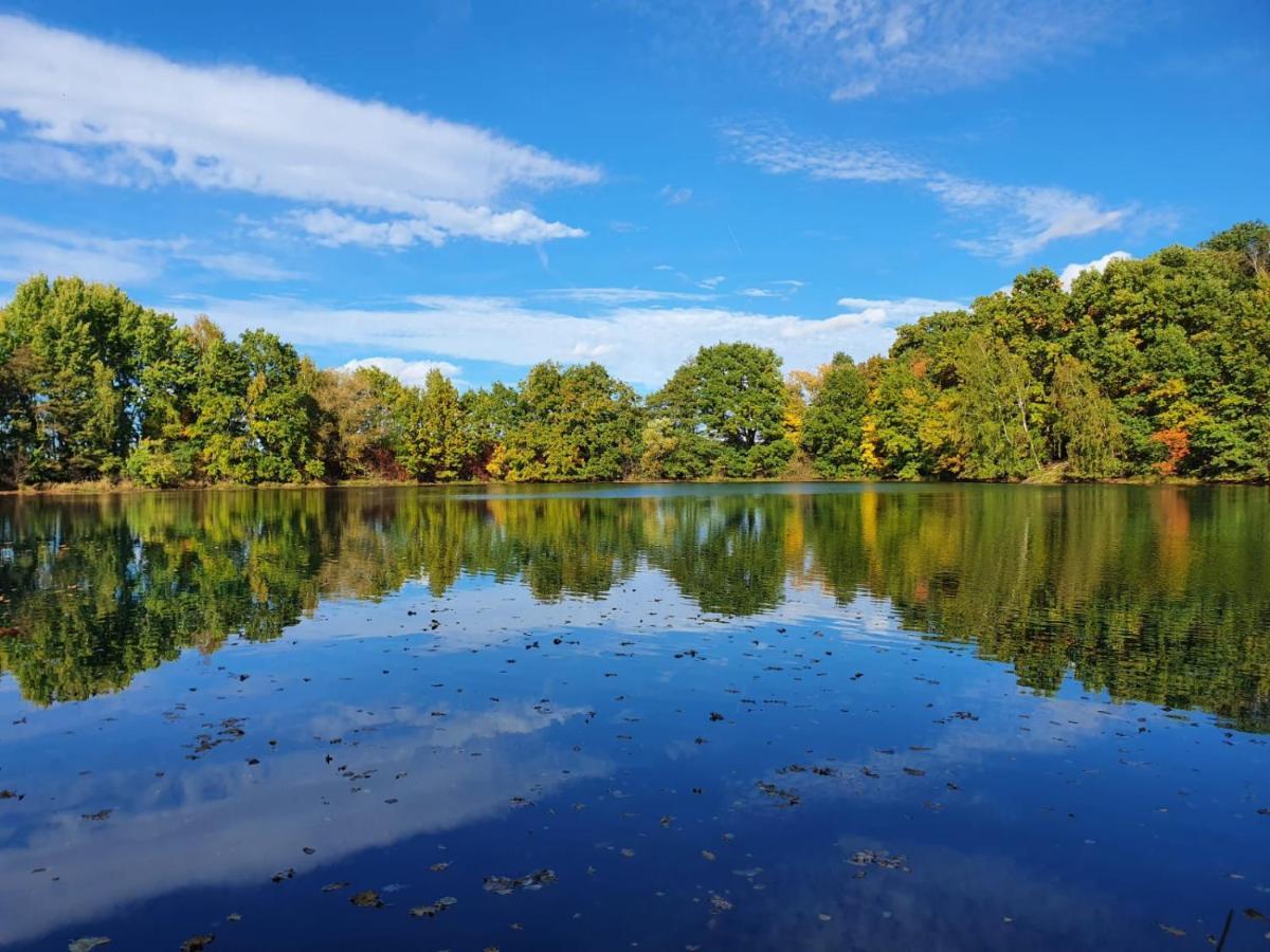 Ferienwohnung Am See Dillich - Eigener Garten - Ruhige Lage - Natur Vor Der Haustuer Borken  外观 照片