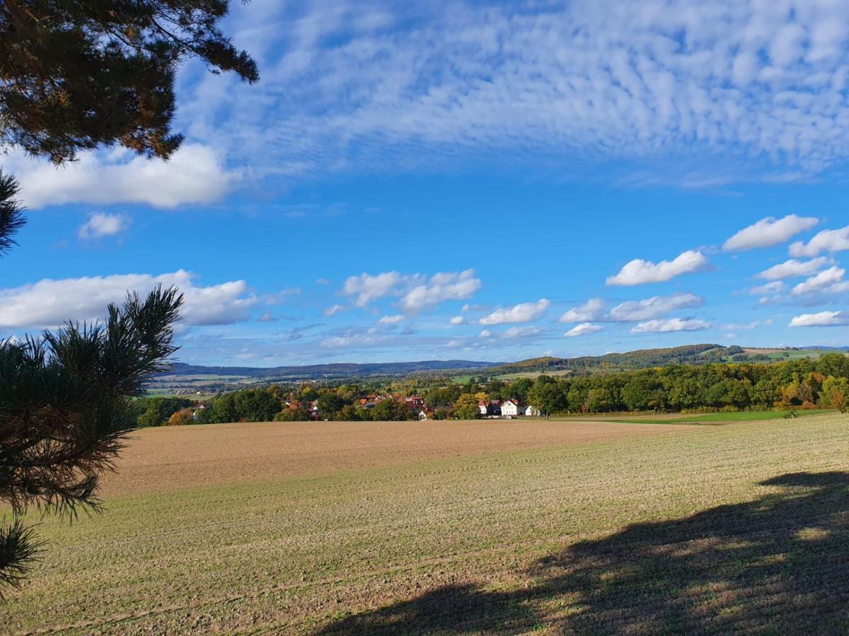Ferienwohnung Am See Dillich - Eigener Garten - Ruhige Lage - Natur Vor Der Haustuer Borken  外观 照片