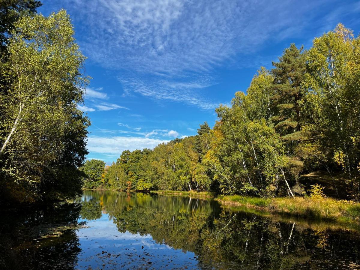 Ferienwohnung Am See Dillich - Eigener Garten - Ruhige Lage - Natur Vor Der Haustuer Borken  外观 照片