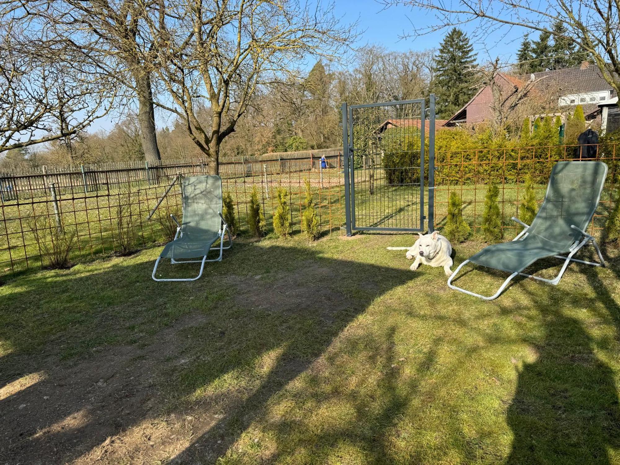 Ferienwohnung Am See Dillich - Eigener Garten - Ruhige Lage - Natur Vor Der Haustuer Borken  外观 照片